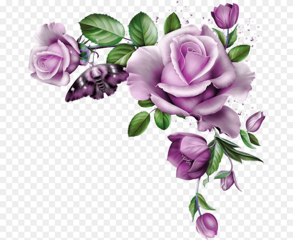 Blue Rose Frame, Art, Floral Design, Flower, Flower Arrangement Free Transparent Png