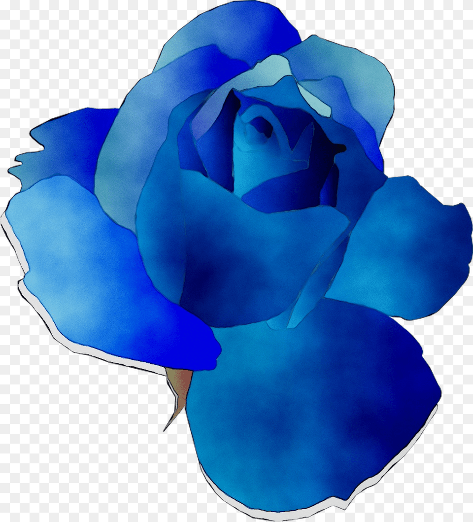 Blue Rose Garden Roses Cut Flowers Floribunda, Flower, Petal, Plant, Baby Free Png