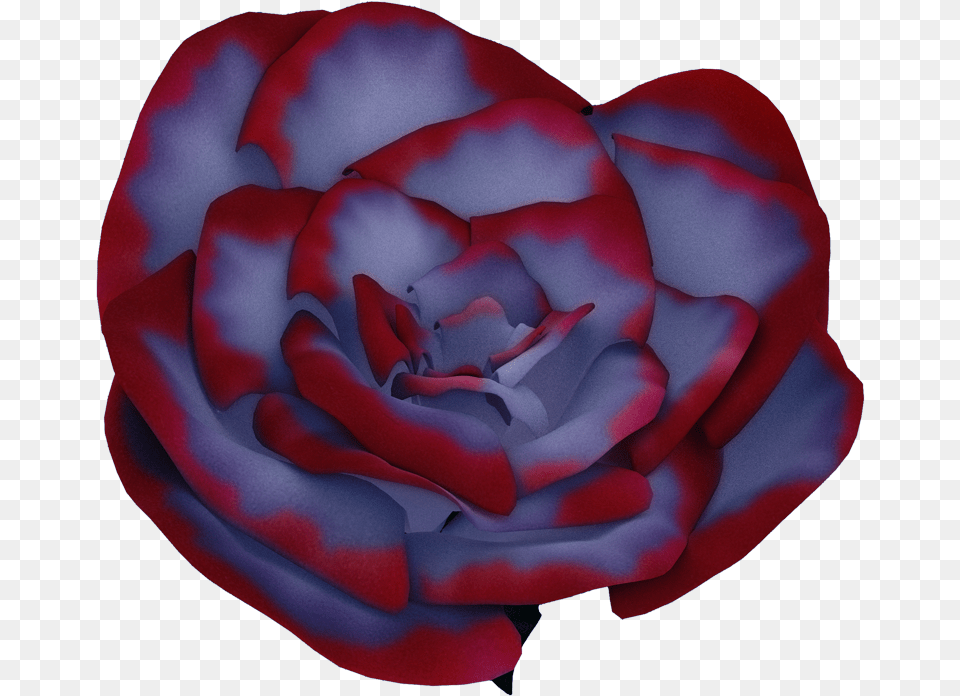 Blue Rose Japanese Camellia, Flower, Petal, Plant Free Png Download