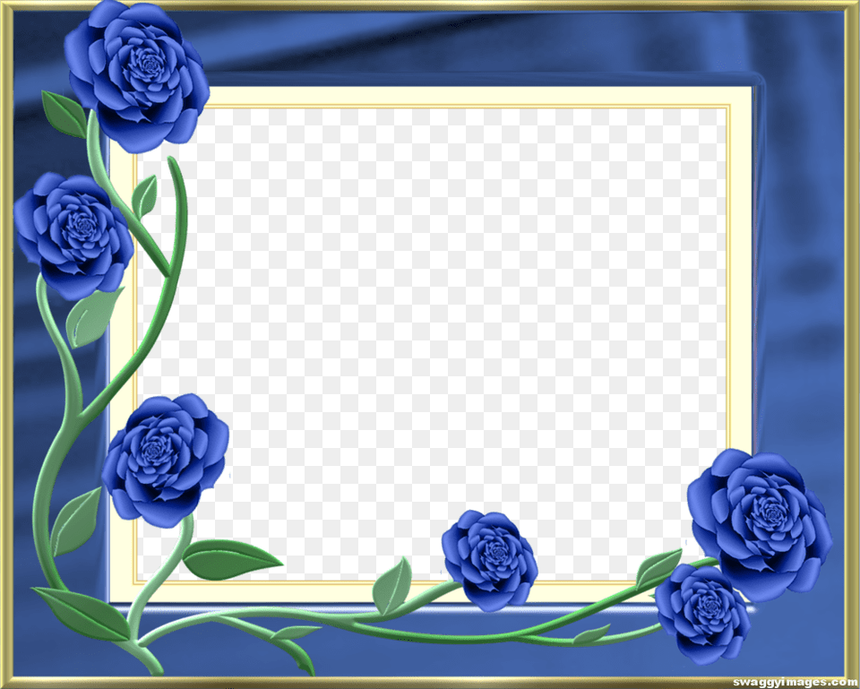 Blue Rose Photo Frame Picture Frame, Flower, Plant Png Image