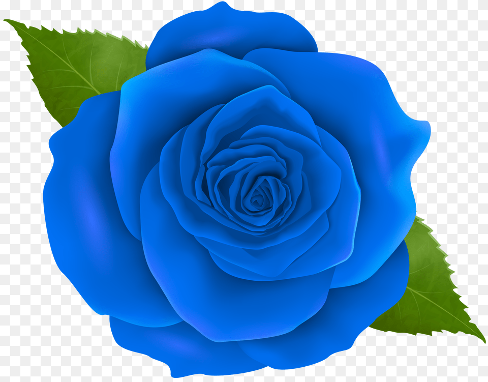Blue Rose Transparent Clip Png