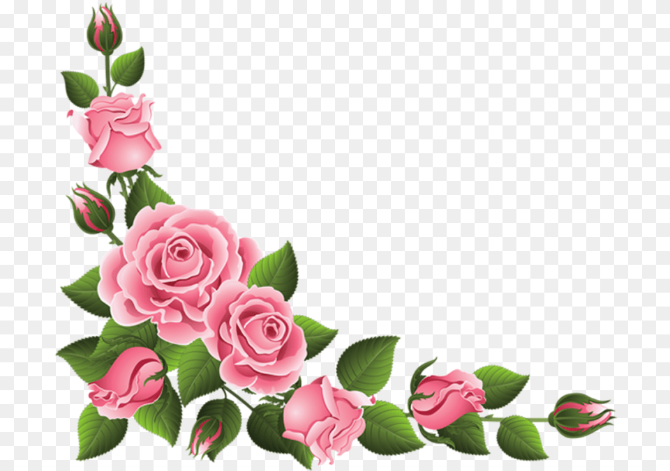 Blue Rose With Border Pink Roses Border, Art, Flower, Graphics, Pattern Free Png