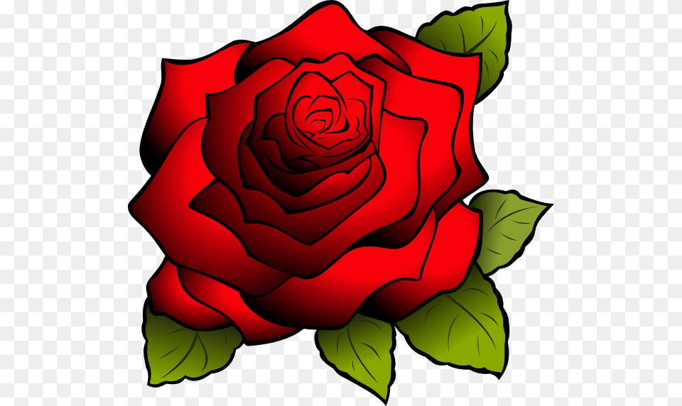 Blue Roses Clip Art, Flower, Plant, Rose, Dynamite Png Image
