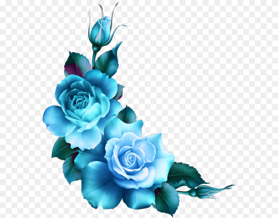 Blue Roses Flowers Flower Rose Border Blue Rose Flower Drawing, Art, Graphics, Pattern, Plant Free Png Download