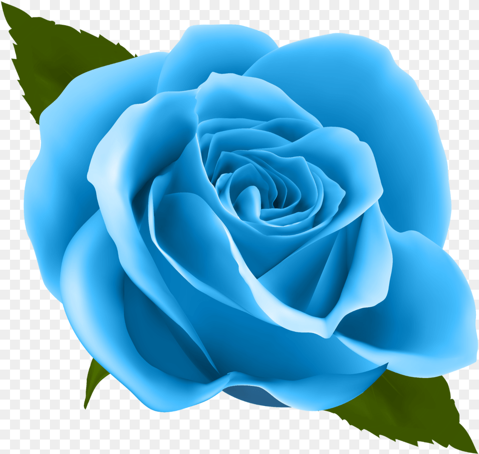 Blue Roses Rose Clipart, Flower, Plant Free Png Download