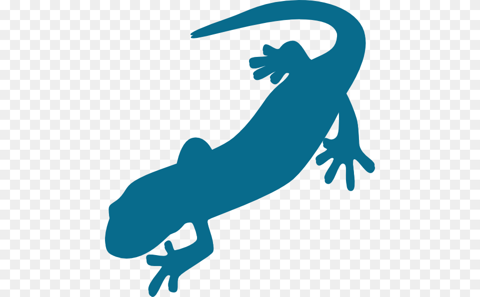 Blue Salamander Clip Art, Amphibian, Animal, Bear, Mammal Png