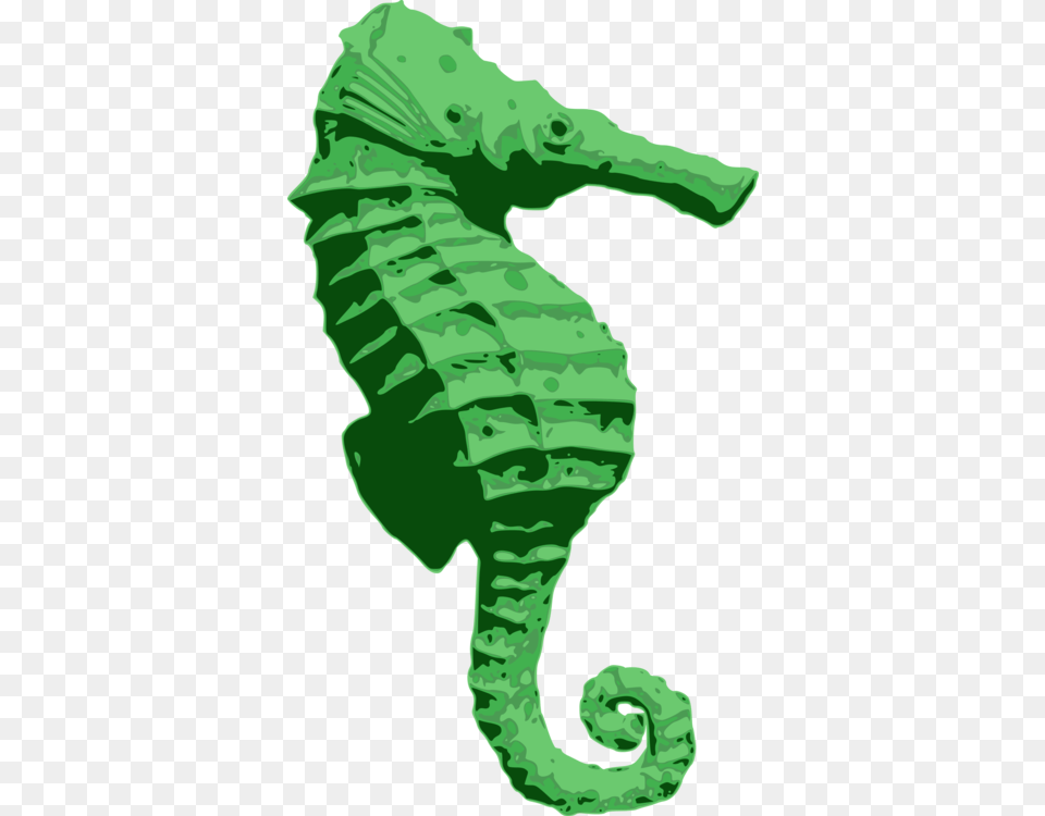 Blue Seahorse, Animal, Mammal, Sea Life, Baby Free Png