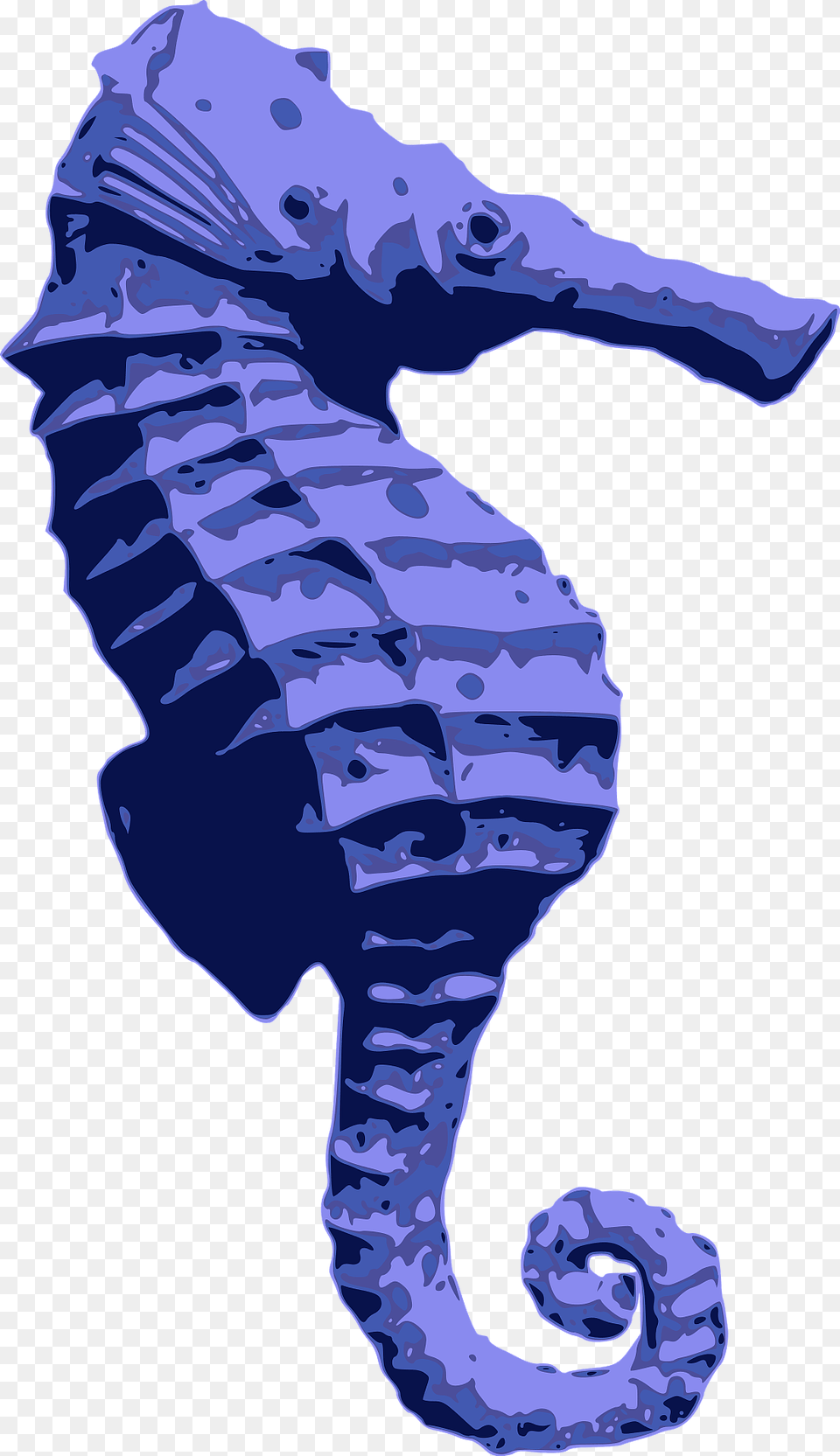 Blue Seahorse Clipart, Animal, Mammal, Sea Life, Baby Png Image