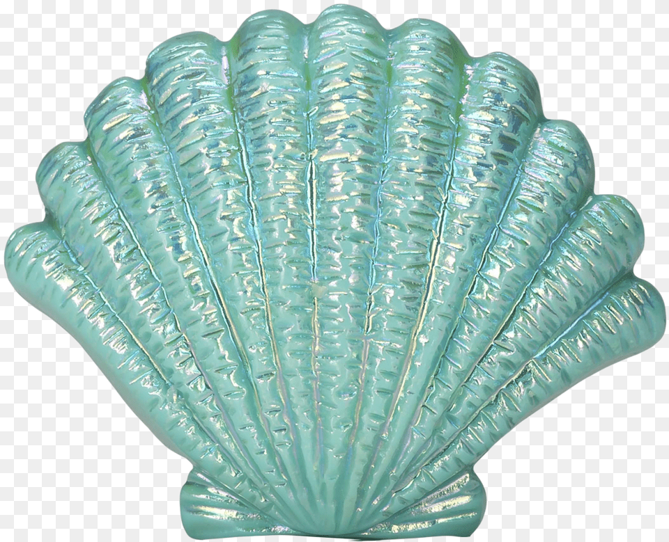 Blue Seashell Image Transparent Sea Shell, Animal, Clam, Food, Invertebrate Png
