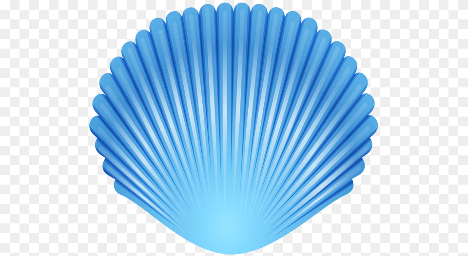 Blue Seashell Transparent Clip Art Gallery, Animal, Clam, Food, Invertebrate Png Image