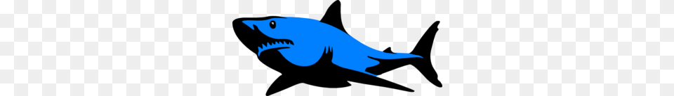 Blue Shark Clipart, Animal, Fish, Sea Life Free Transparent Png