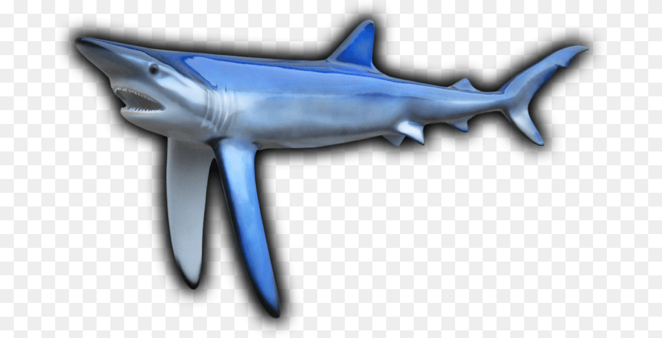 Blue Shark Fish Mount Fish Shark, Animal, Sea Life Png Image