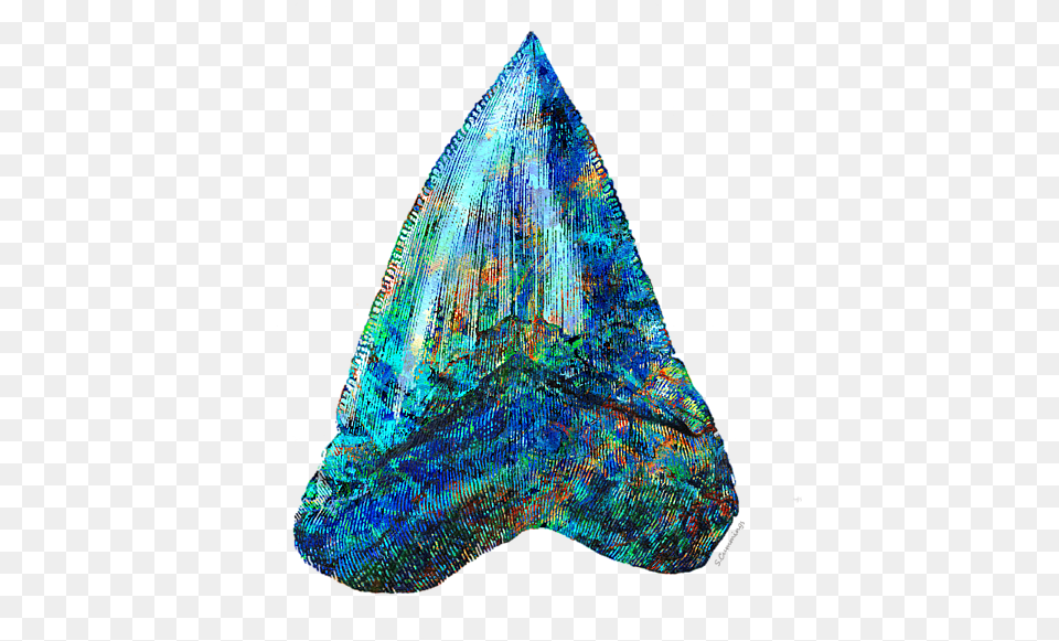Blue Shark Tooth Art By Sharon Cummings, Accessories, Crystal, Gemstone, Jewelry Png