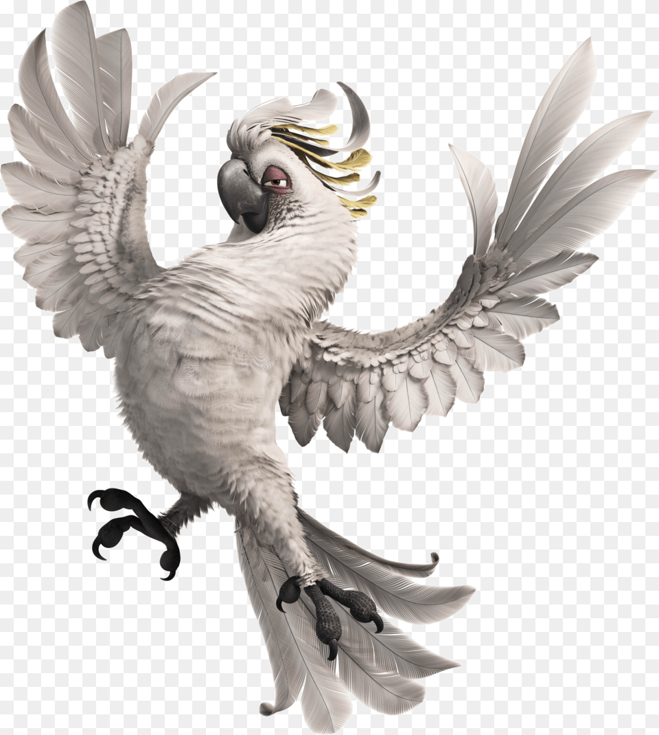 Blue Sky Studios Wiki Rio Movie Nigel, Animal, Bird, Parrot, Cockatoo Free Png Download