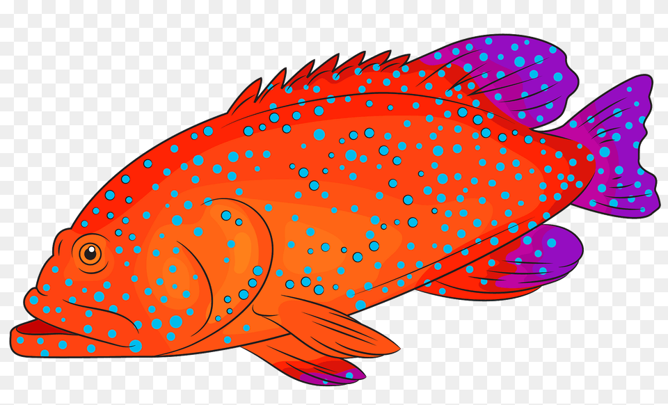 Blue Spotted Grouper Clipart, Animal, Sea Life, Fish, Shark Free Png