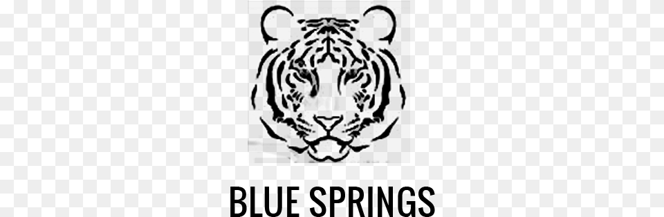 Blue Springs Bengal Tiger, Gray Free Png Download