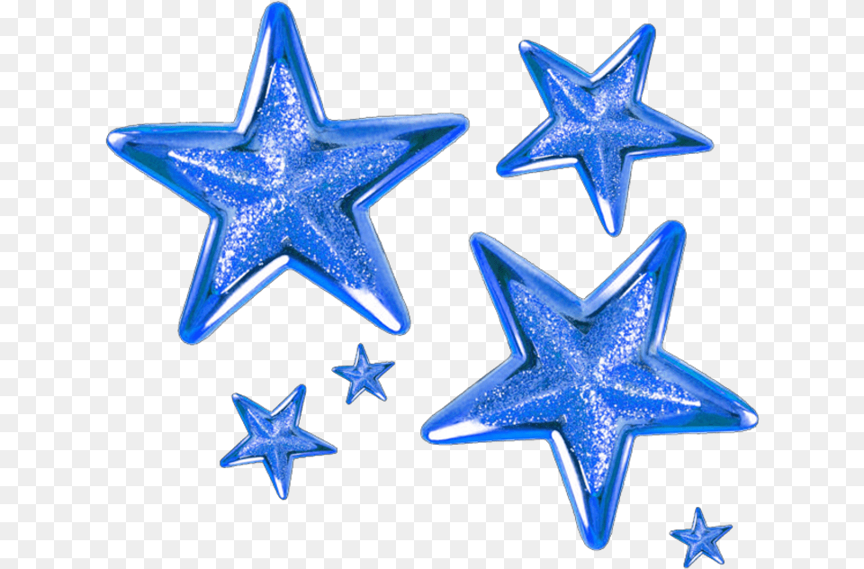 Blue Star Stars Blue Stars Background, Star Symbol, Symbol, Animal, Bird Free Transparent Png