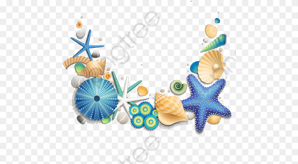 Blue Starfish And Shells Starfish And Shells, Animal, Invertebrate, Sea Life, Seashell Free Transparent Png