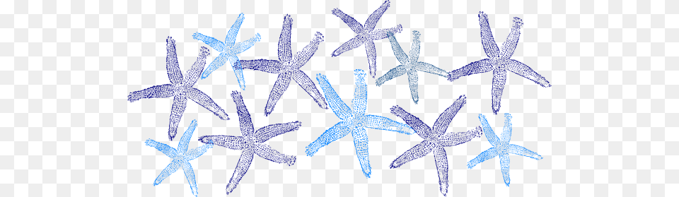 Blue Starfish Clip Art For Web, Animal, Invertebrate, Sea Life, Person Free Png Download