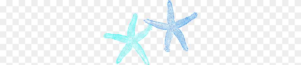 Blue Starfish Clip Art For Web, Animal, Invertebrate, Sea Life, Person Png Image