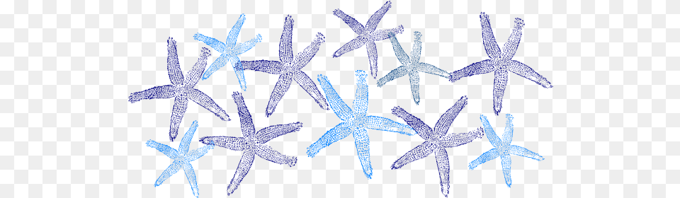 Blue Starfish Clip Art Background Starfish Clipart, Animal, Sea Life, Invertebrate Free Transparent Png