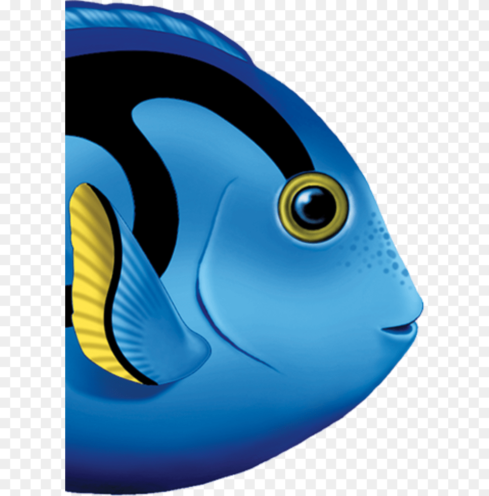 Blue Tang Fish Clipart, Animal, Sea Life, Surgeonfish, Angelfish Free Png Download