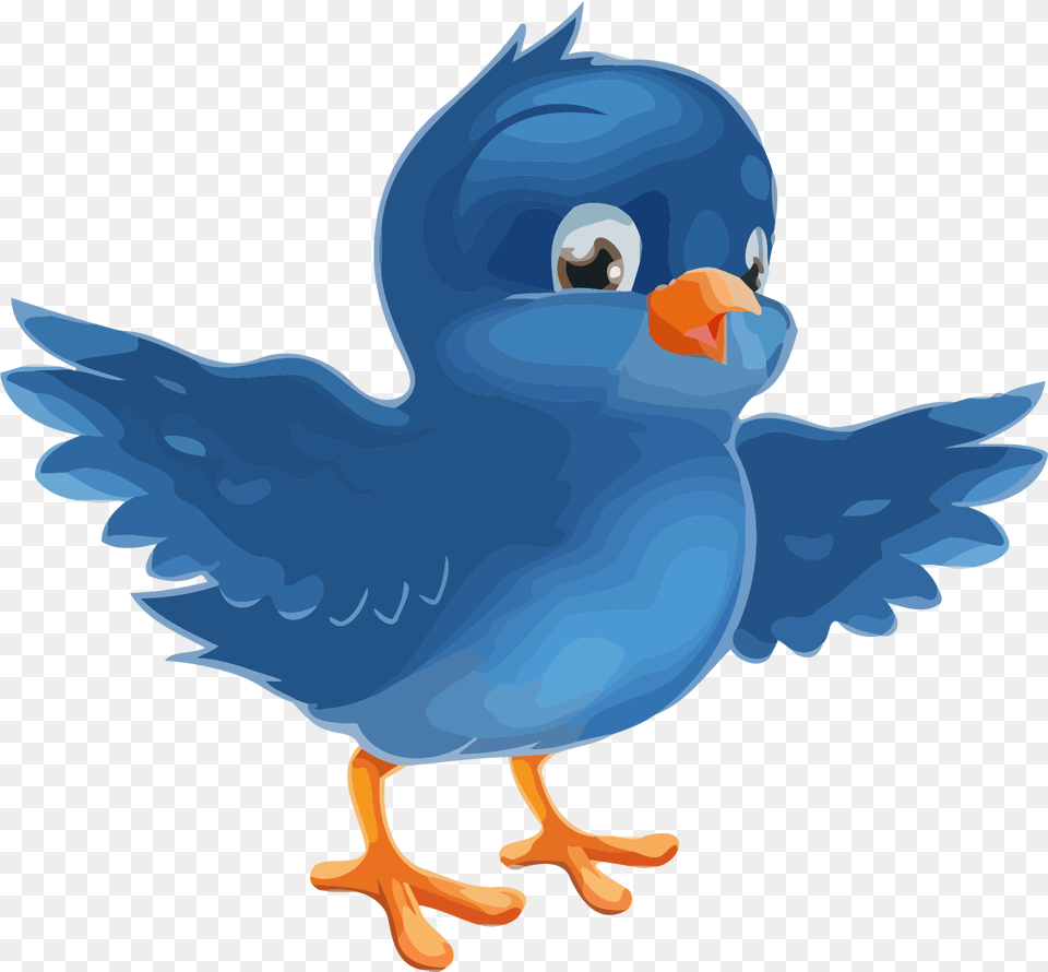 Blue Teal Bird Clipart U2013 Clipartlycom Blue Bird Image Clipart, Animal, Beak Png