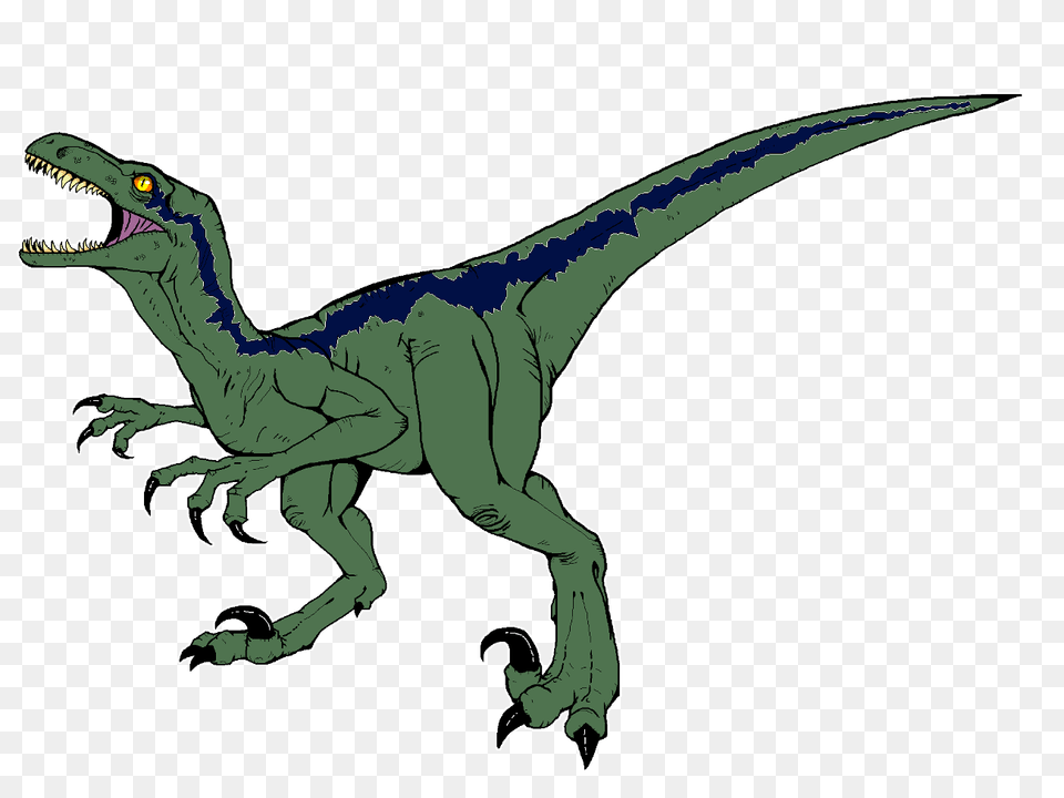 Blue The Raptor, Animal, Dinosaur, Reptile, T-rex Png