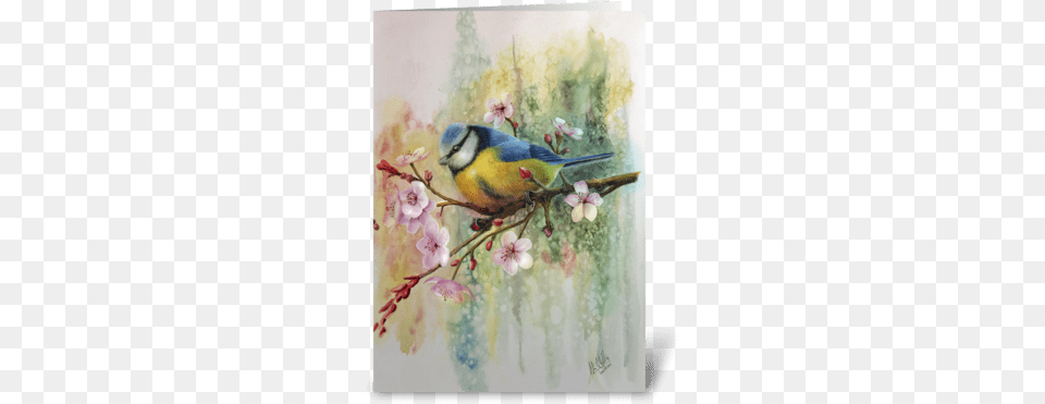 Blue Tit And Plum Blossoms Greeting Card Acrylic Painting Blue Tit, Animal, Art, Bird, Finch Png
