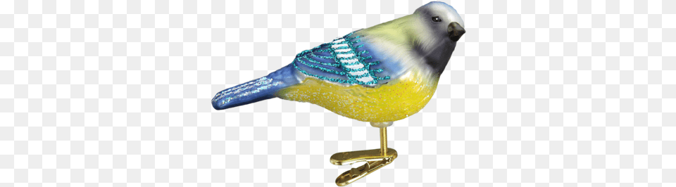 Blue Tit Ornament Old World Christmas Clip Ornament Steller39s Jay, Animal, Bird, Fish, Sea Life Free Png