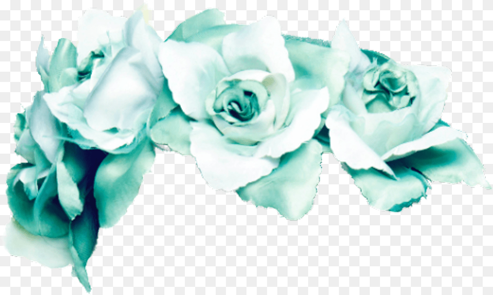 Blue Turqoise Flower Crown Flowercrown Rose Roses Green And Blue Flower Crown, Petal, Plant, Flower Arrangement, Flower Bouquet Free Png