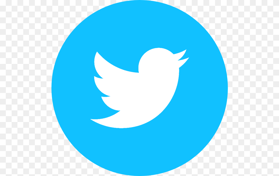 Blue Twitter Twitter Logo Twitterbird Twitterbird Logo Icon, Animal, Sea Life, Outdoors, Night Png Image