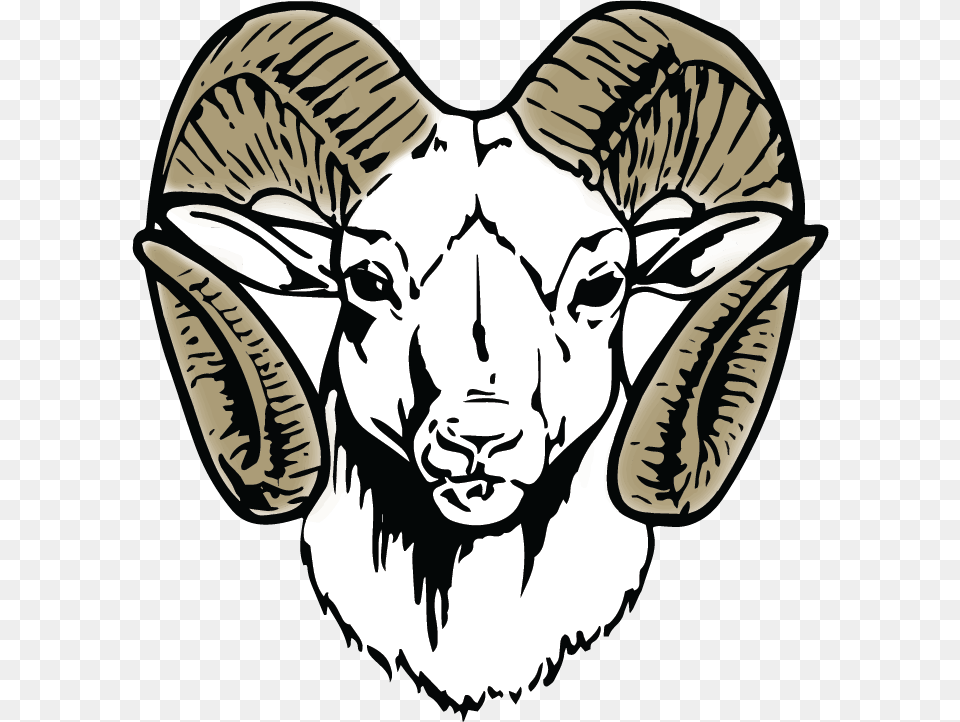 Blue Valley Randolph Rams, Baby, Person, Livestock, Face Free Png Download