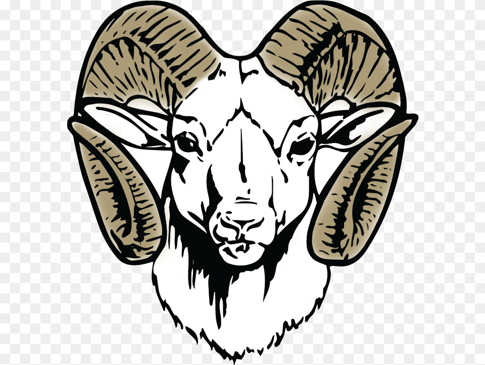 Blue Valley Usd 384 Home Of The Rams Madison Comprehensive High School Logo, Baby, Person, Livestock, Face Png Image