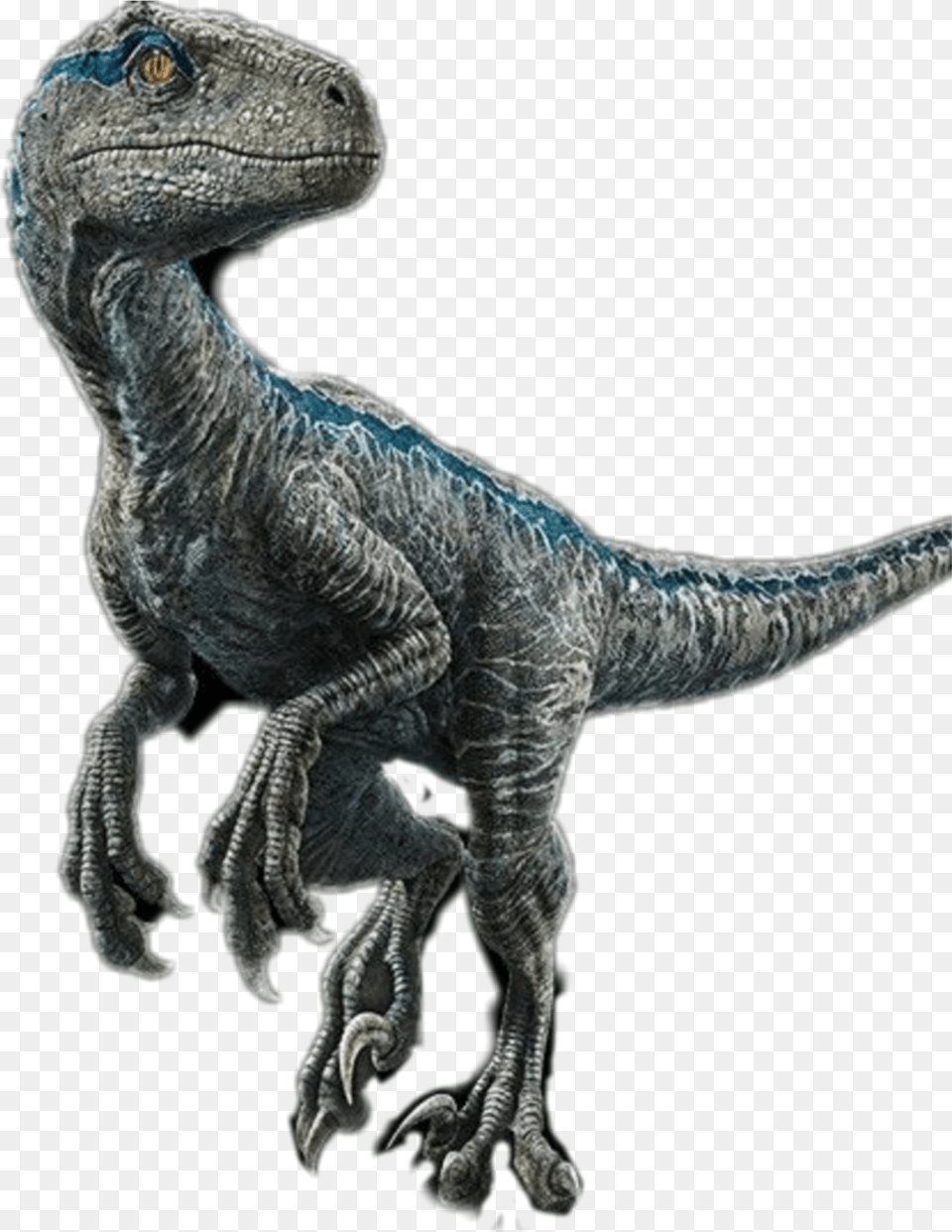 Blue Velociraptor Raptor Jurrasicworld, Cannon, Weapon, Mortar Shell, Device Free Png Download