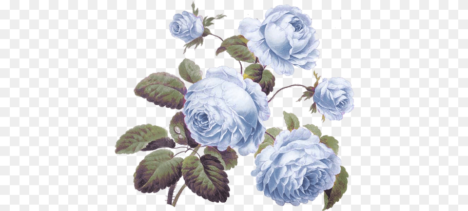 Blue Vintage Flowers, Flower, Plant, Rose, Art Free Transparent Png