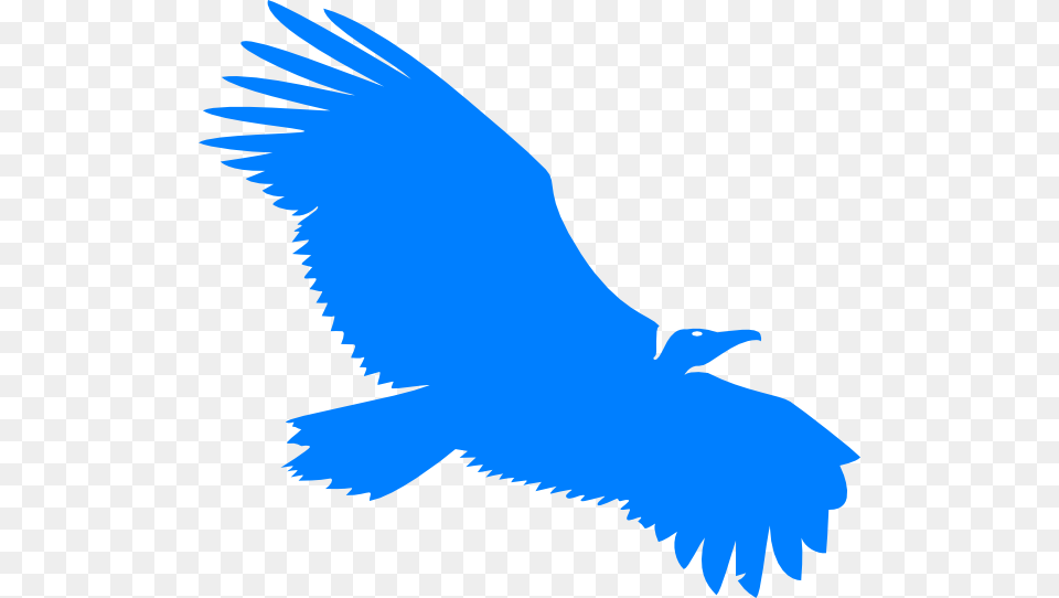 Blue Vulture Svg Clip Arts Blue Vulture Clipart, Animal, Bird, Condor, Flying Free Png