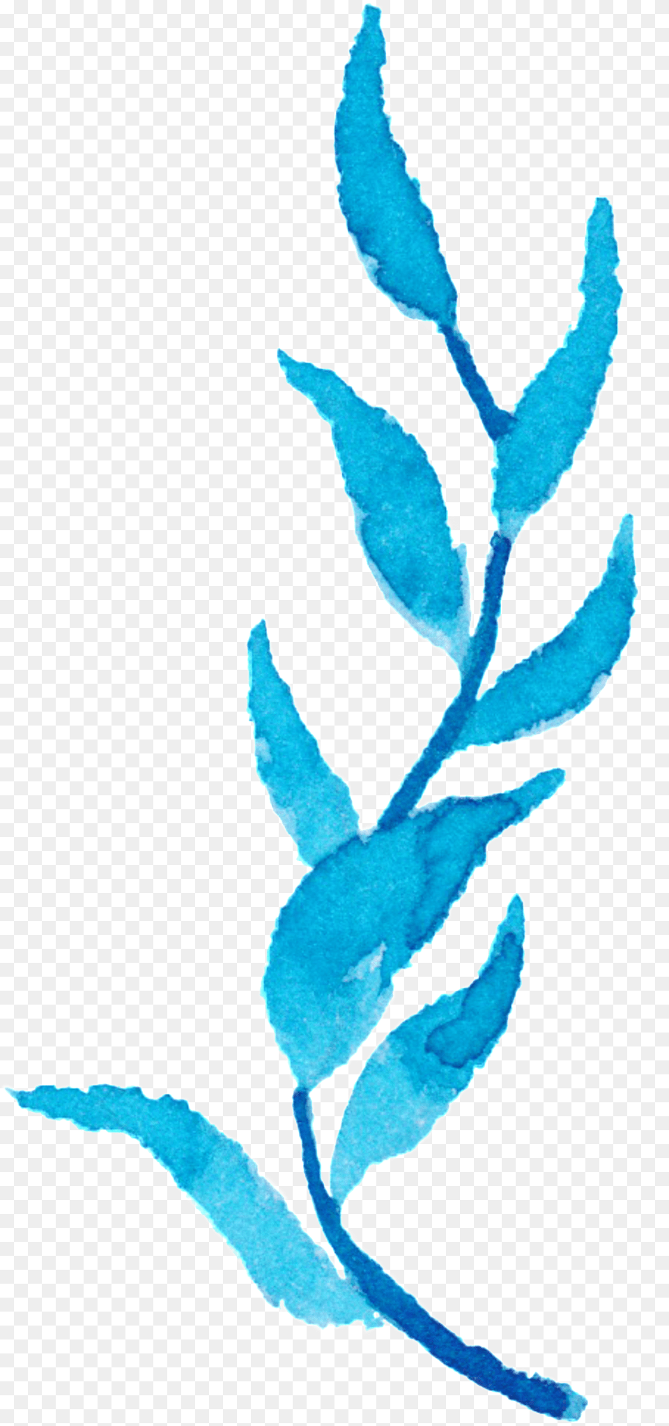 Blue Water Grass Watercolor Hand Painted Flower Decoration Watercolor Painting, Leaf, Plant, Art Png