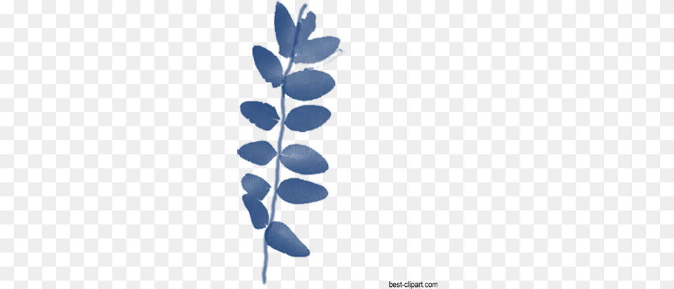 Blue Watercolor Branch Graphic Watercolor Painting, Astragalus, Leaf, Plant, Flower Free Png