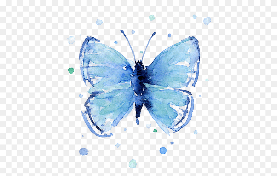 Blue Watercolor Butterfly T Shirt Blue Butterfly Watercolor, Animal, Insect, Invertebrate Free Transparent Png