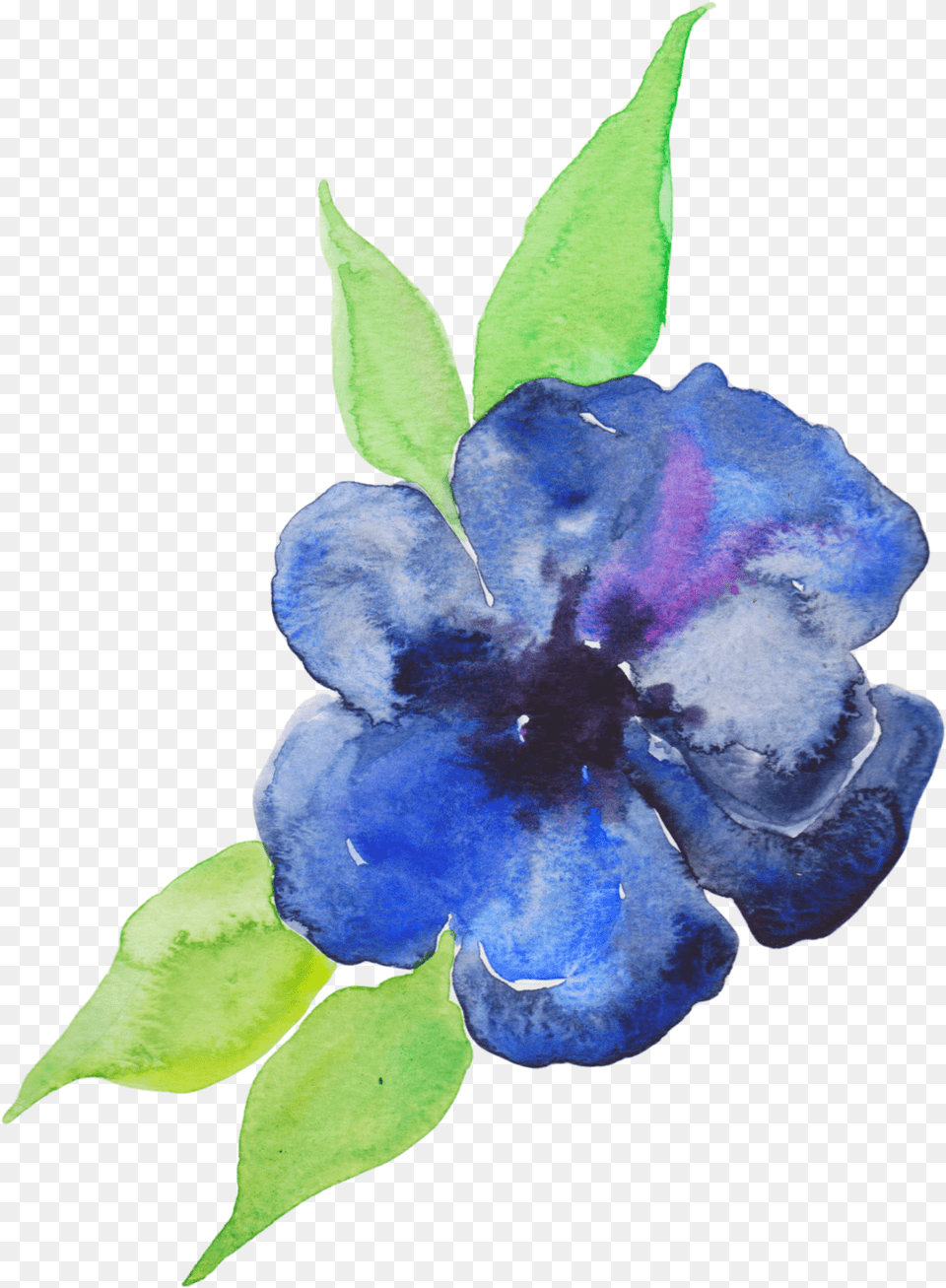 Blue Watercolor Flower Blue And Purple Watercolor Paintings, Acanthaceae, Anemone, Petal, Plant Free Png