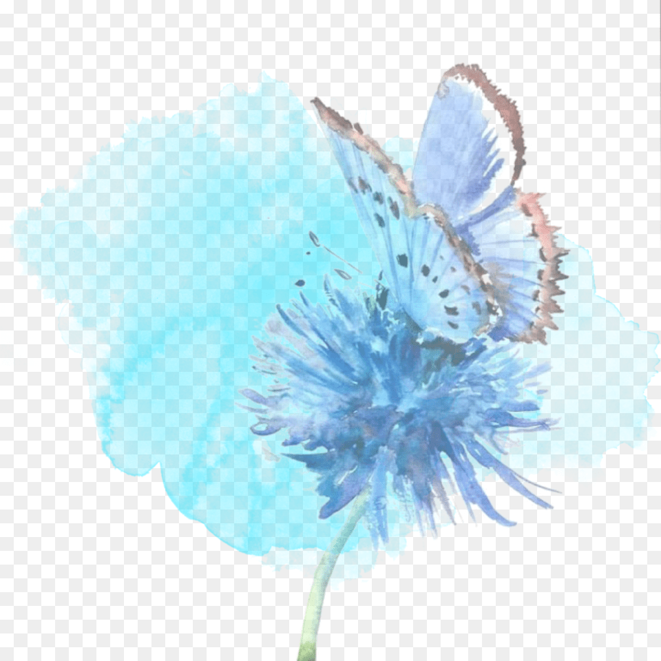 Blue Watercolour Flower Butterfly Background Remix Butterfly Blue Watercolor In Flower, Anemone, Plant, Anther, Petal Png