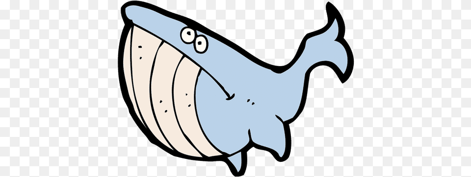 Blue Whale 0shares Whales, Animal, Sea Life, Fish Png