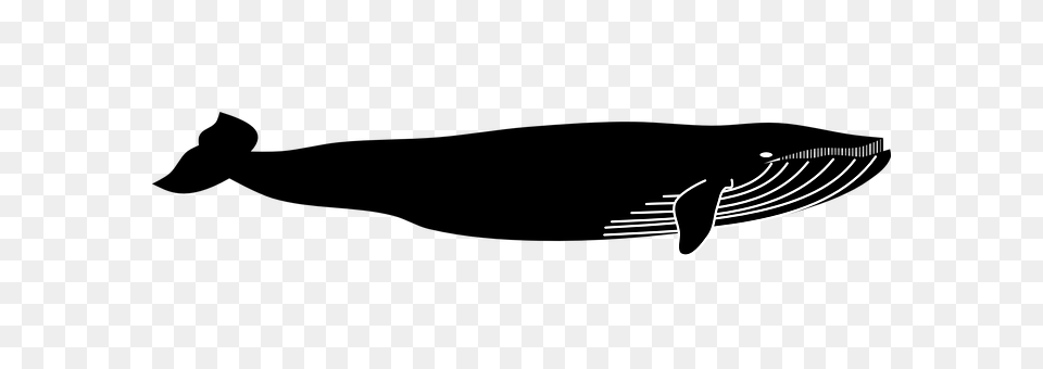 Blue Whale Cutlery, Fork Free Png Download