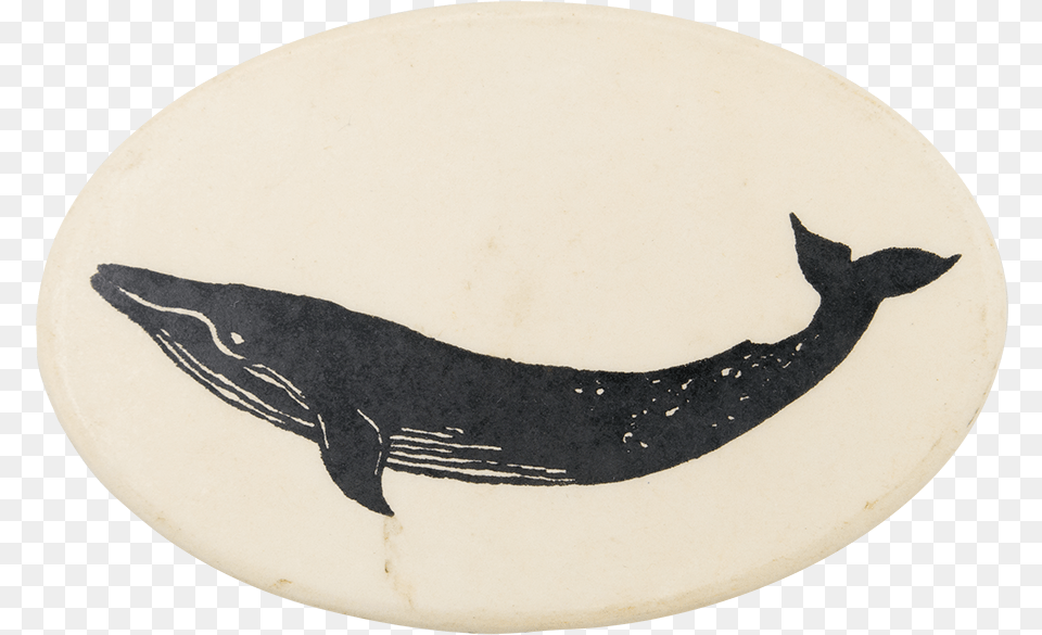 Blue Whale Art Button Museum Humpback Whale, Animal, Mammal, Sea Life Png Image
