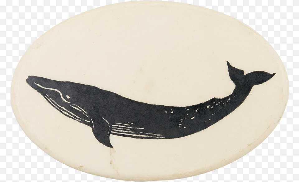 Blue Whale Art Button Museum Humpback Whale, Animal, Mammal, Sea Life Free Png