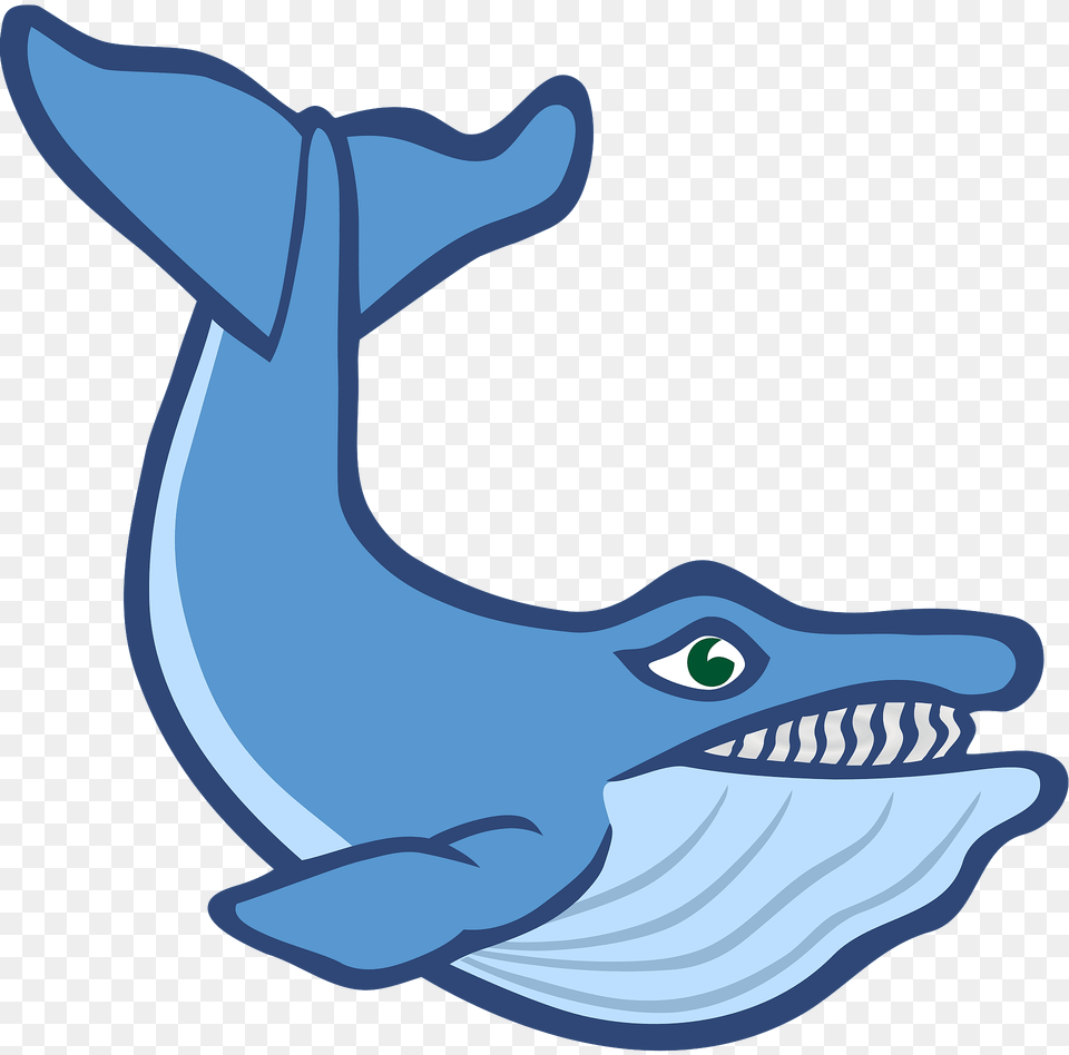 Blue Whale Clipart, Animal, Mammal, Sea Life, Fish Free Transparent Png