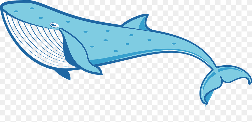 Blue Whale Clipart, Animal, Mammal, Sea Life, Fish Free Png Download