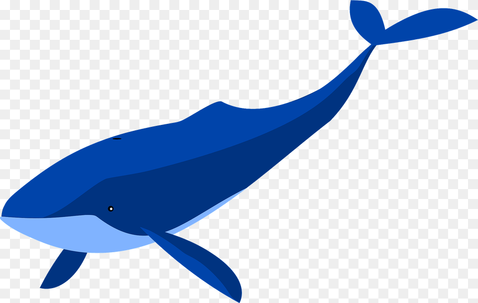 Blue Whale Clipart, Animal, Mammal, Sea Life, Fish Free Transparent Png
