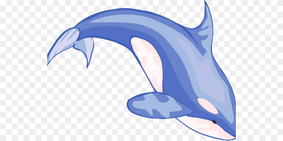 Blue Whale Clipart Mom Baby Whale Cartoon Hd, Animal, Dolphin, Mammal, Sea Life Free Png